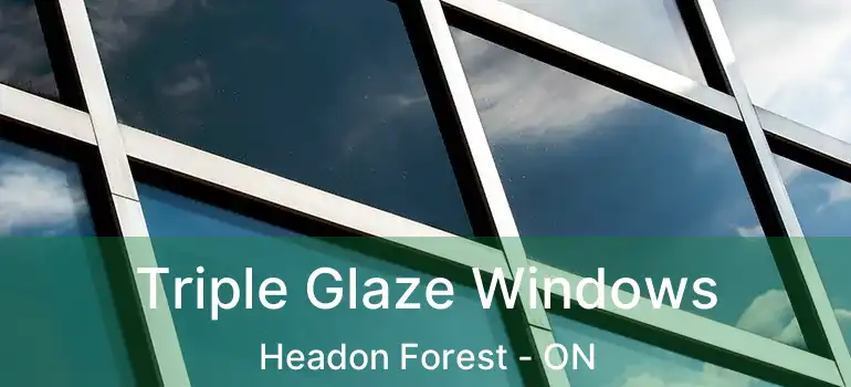  Triple Glaze Windows Headon Forest - ON