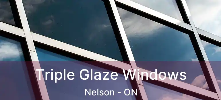  Triple Glaze Windows Nelson - ON