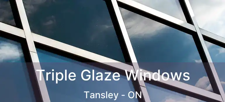  Triple Glaze Windows Tansley - ON