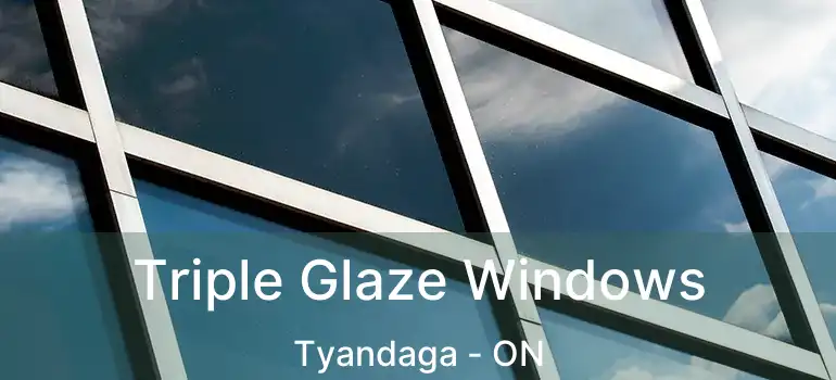  Triple Glaze Windows Tyandaga - ON
