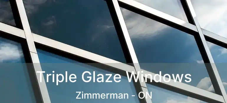  Triple Glaze Windows Zimmerman - ON