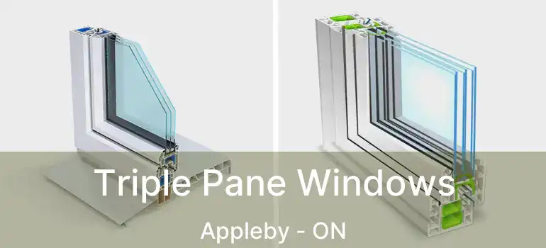  Triple Pane Windows Appleby - ON