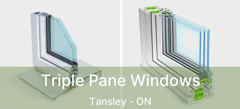  Triple Pane Windows Tansley - ON