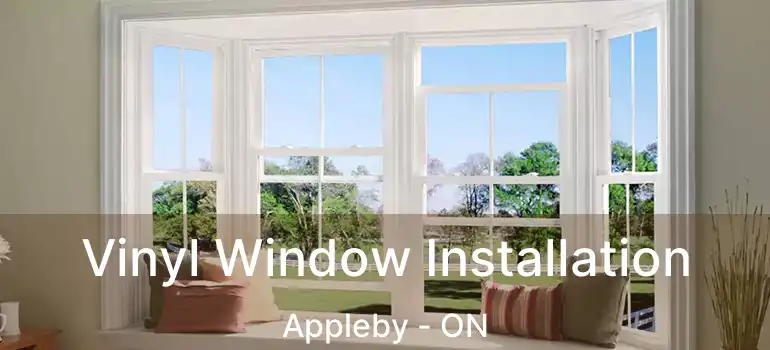  Vinyl Window Installation Appleby - ON