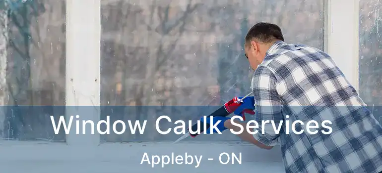  Window Caulk Services Appleby - ON