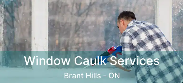  Window Caulk Services Brant Hills - ON