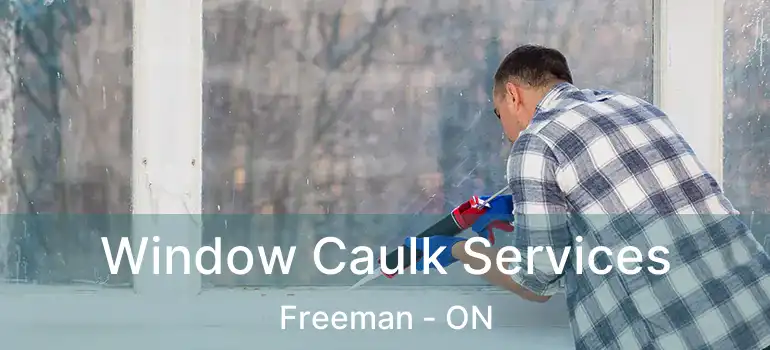  Window Caulk Services Freeman - ON