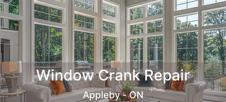  Window Crank Repair Appleby - ON