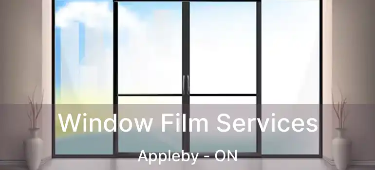  Window Film Services Appleby - ON