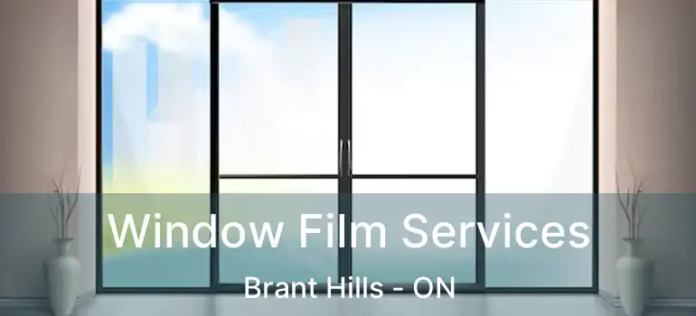  Window Film Services Brant Hills - ON