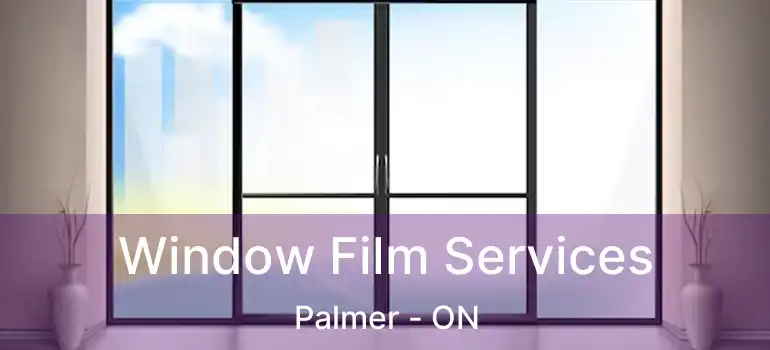  Window Film Services Palmer - ON