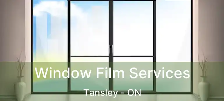  Window Film Services Tansley - ON