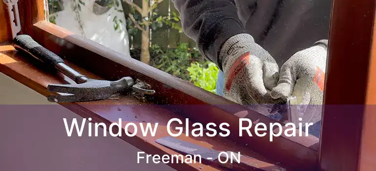  Window Glass Repair Freeman - ON
