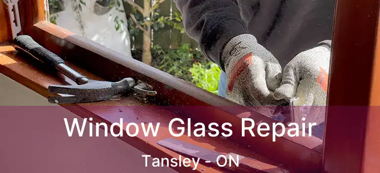  Window Glass Repair Tansley - ON