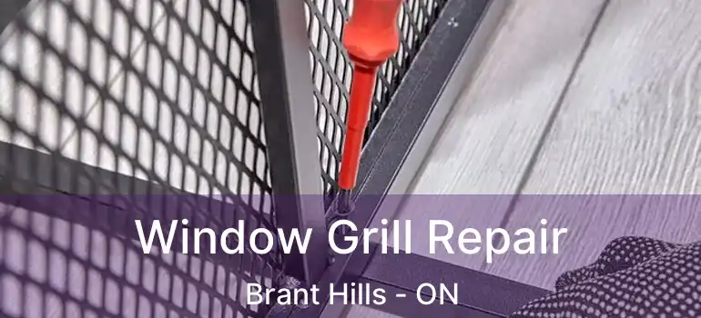  Window Grill Repair Brant Hills - ON