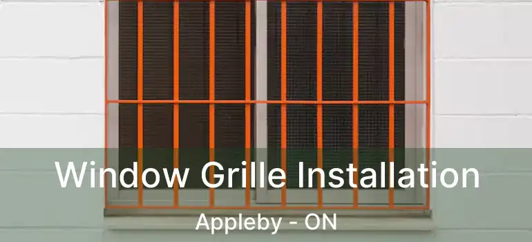  Window Grille Installation Appleby - ON