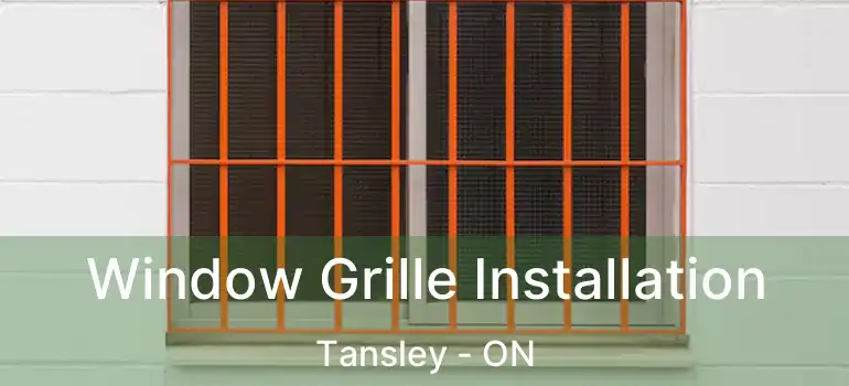 Window Grille Installation Tansley - ON