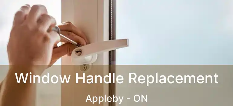  Window Handle Replacement Appleby - ON