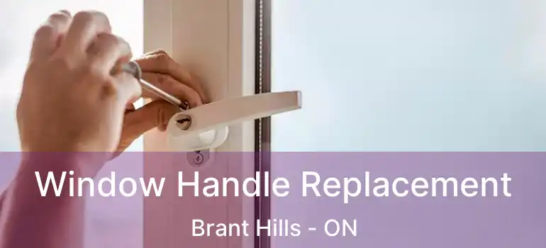  Window Handle Replacement Brant Hills - ON