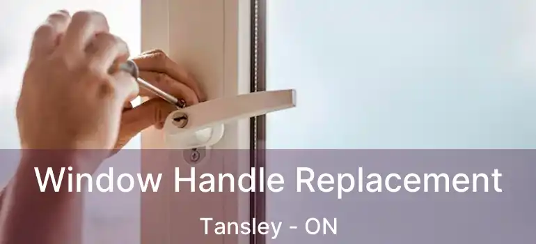 Window Handle Replacement Tansley - ON