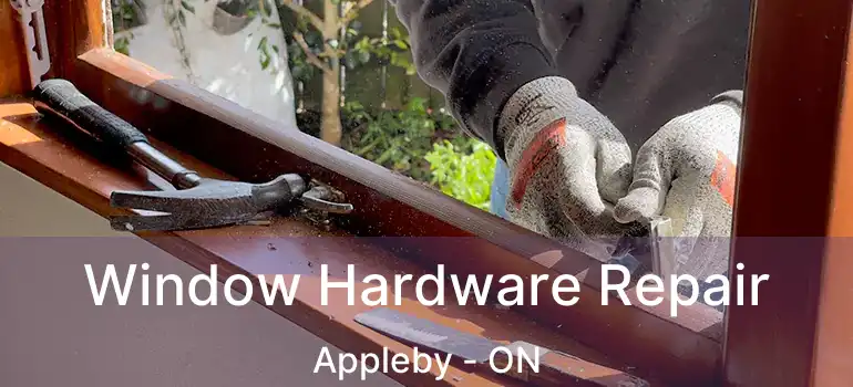  Window Hardware Repair Appleby - ON