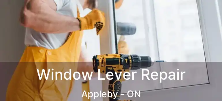  Window Lever Repair Appleby - ON
