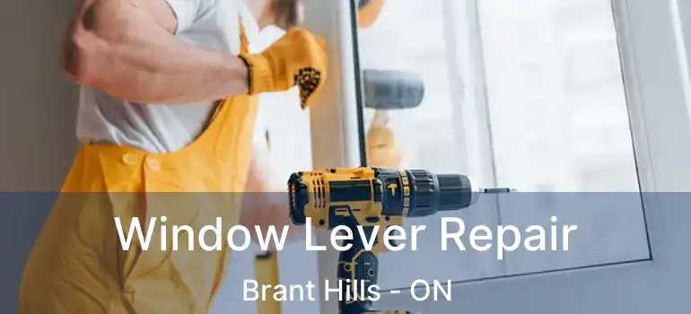 Window Lever Repair Brant Hills - ON