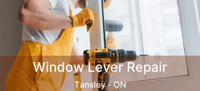  Window Lever Repair Tansley - ON