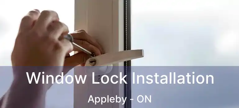  Window Lock Installation Appleby - ON
