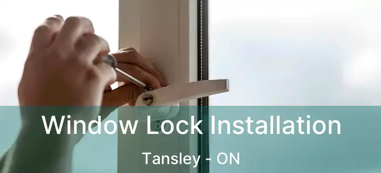  Window Lock Installation Tansley - ON