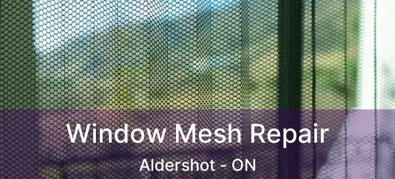  Window Mesh Repair Aldershot - ON