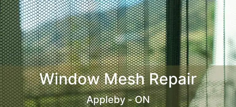  Window Mesh Repair Appleby - ON