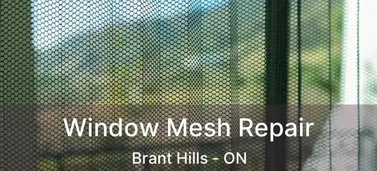  Window Mesh Repair Brant Hills - ON