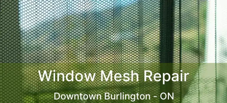  Window Mesh Repair Downtown Burlington - ON