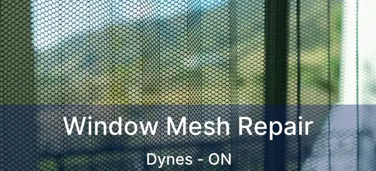  Window Mesh Repair Dynes - ON