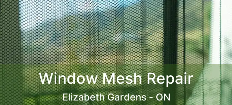  Window Mesh Repair Elizabeth Gardens - ON