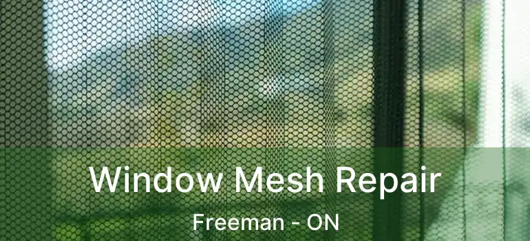  Window Mesh Repair Freeman - ON