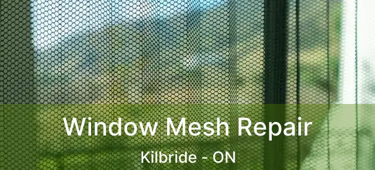  Window Mesh Repair Kilbride - ON