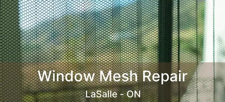  Window Mesh Repair LaSalle - ON