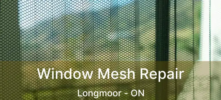  Window Mesh Repair Longmoor - ON