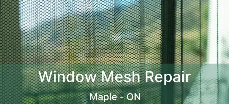  Window Mesh Repair Maple - ON