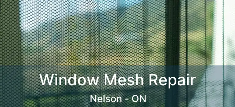  Window Mesh Repair Nelson - ON