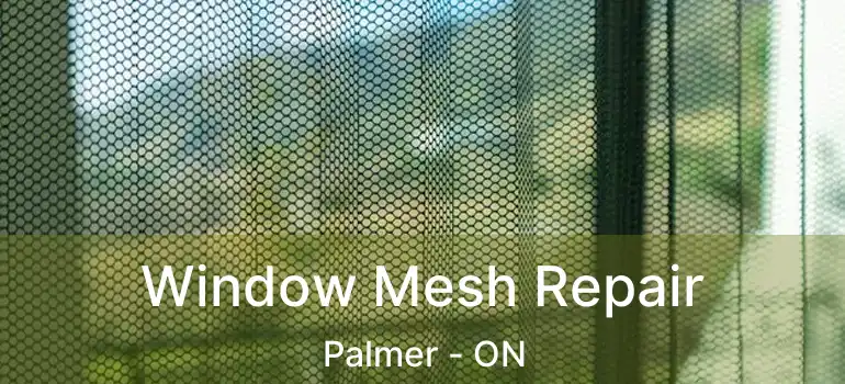  Window Mesh Repair Palmer - ON