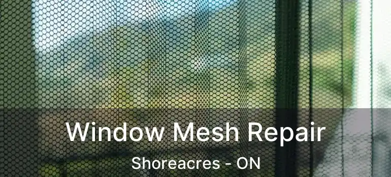  Window Mesh Repair Shoreacres - ON