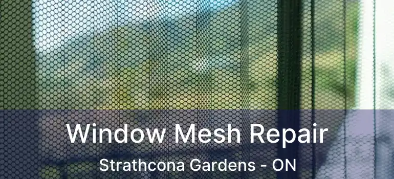  Window Mesh Repair Strathcona Gardens - ON