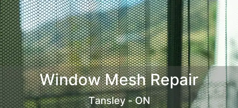  Window Mesh Repair Tansley - ON