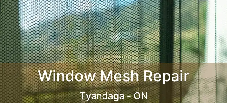  Window Mesh Repair Tyandaga - ON