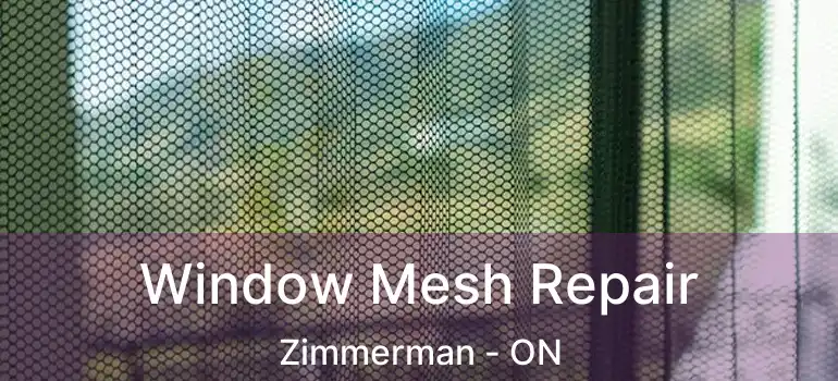  Window Mesh Repair Zimmerman - ON