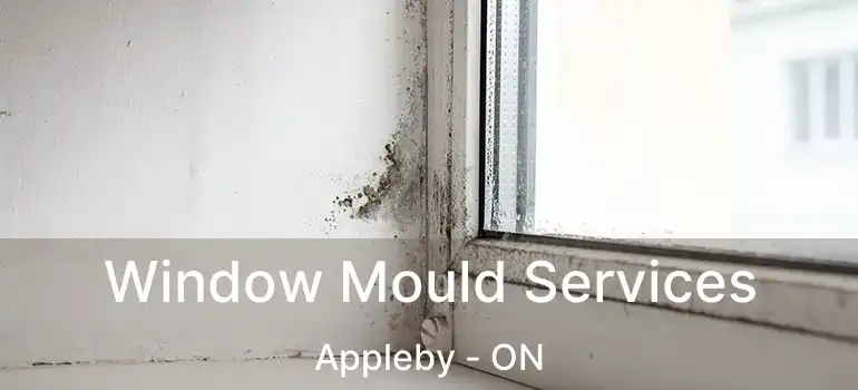  Window Mould Services Appleby - ON