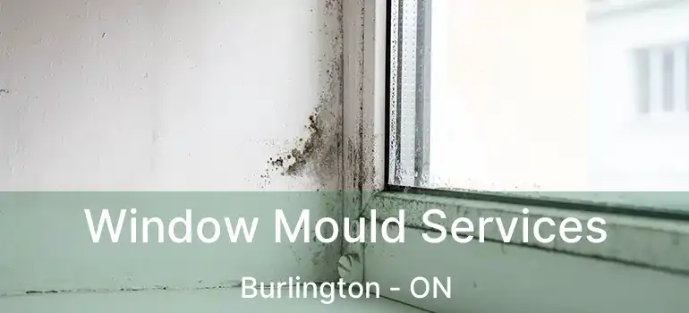  Window Mould Services Burlington - ON